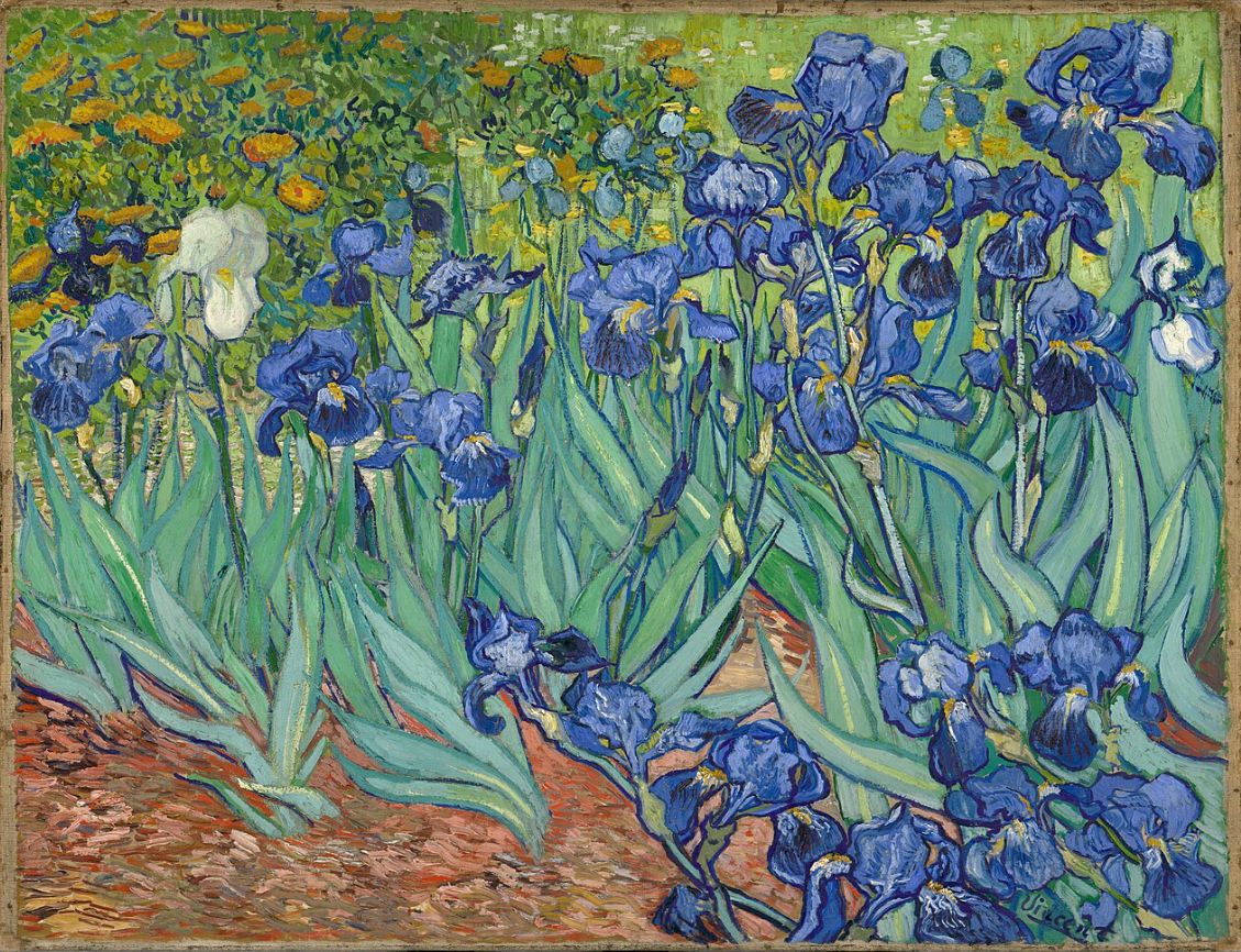 Irises