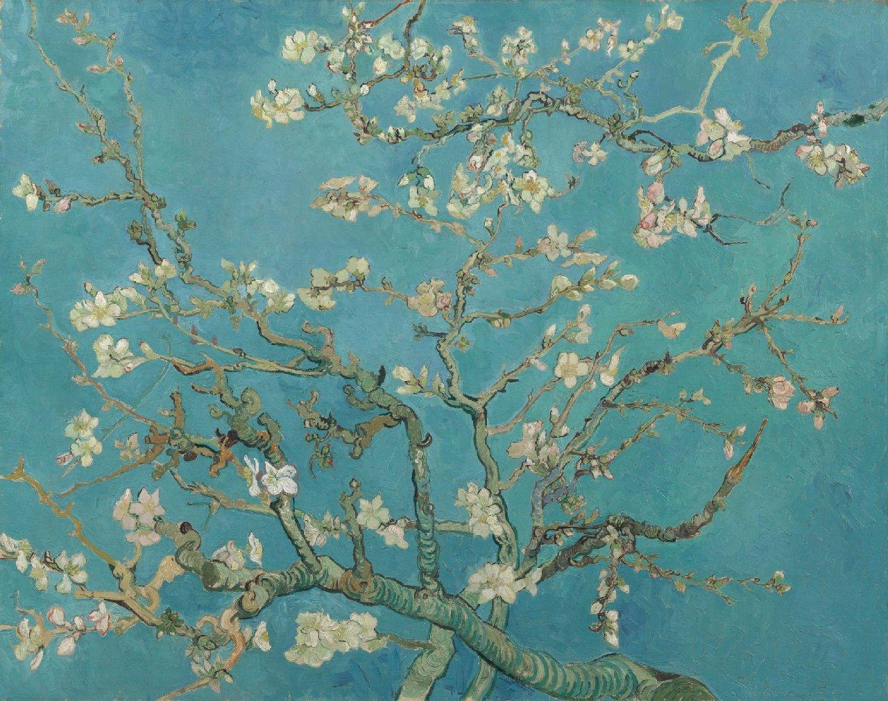 Almond Blossom